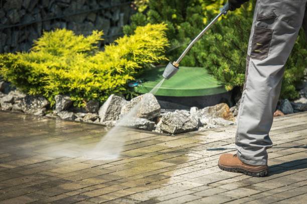 Best Concrete Surface Cleaning in River Ridge, FL