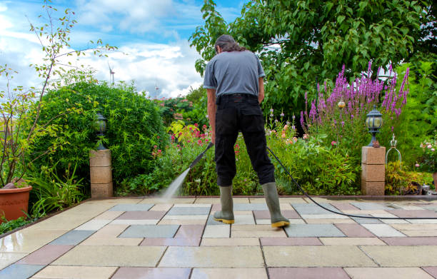 Trusted River Ridge, FL Pressure Washing Services Experts
