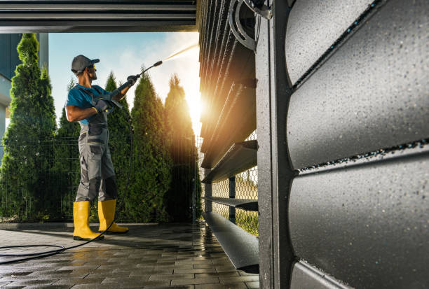 Best Building Exterior Pressure Washing in River Ridge, FL